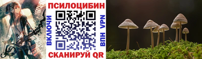 Псилоцибиновые грибы GOLDEN TEACHER  KRAKEN как войти  Заречный 