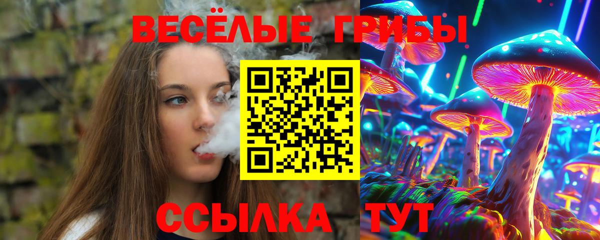 Заречный  Псилоцибиновые грибы Psilocybe  Галлюциногенные грибы Magic Shrooms  Вход с VPN 